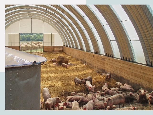 Строительство свинарников в Анапе