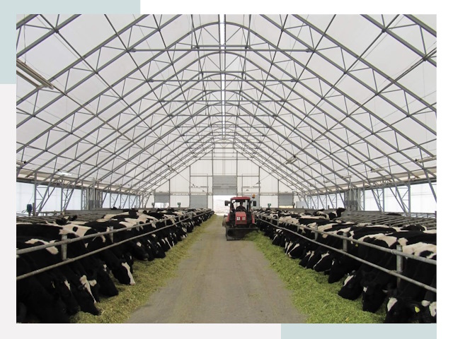 Тентовые коровники в Анапе от 623 руб. - Надежно и доступно