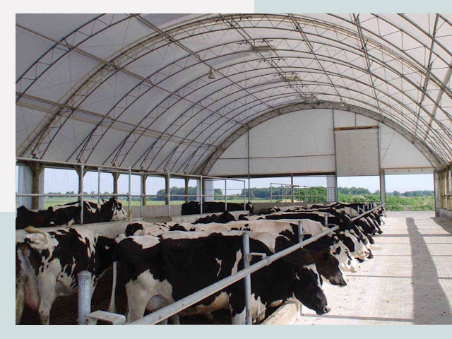 Тентовые коровники в Анапе